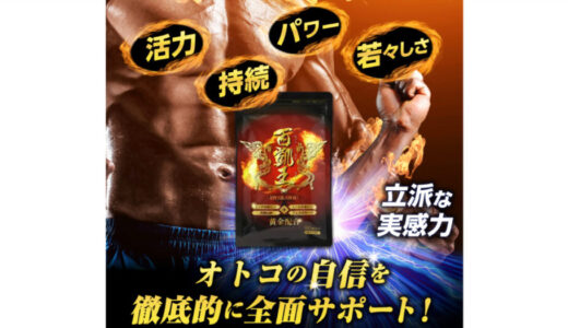 男性活力サプリの初回1,680円！【百凱王(ひゃっかいおう)】